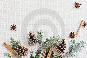 Christmas and New Year composition. Fir branches with cones, star anise, cinnamon on knitted white background