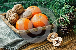Christmas New Year composition winter holiday celebration concept symbol tangerines mandarin clementine nuts pine cones fir branch