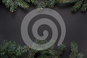 Christmas or New Year decoration background. Fir tree branches on black background with copy space. Top view.