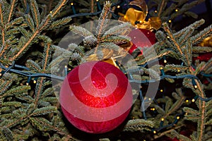 Christmas and New Year Decoration. Baubles hanging on Christmas Tree.