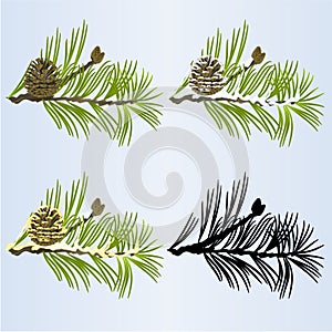 Christmas and New Year decoration  fir tree branches golden and snow pine cones  and silhouette  vintage vector illustration