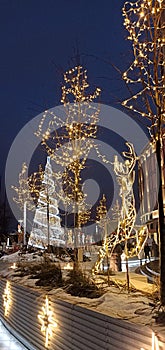 Christmas and New year decorations Christmas tree and deer beautiful night lighting street view