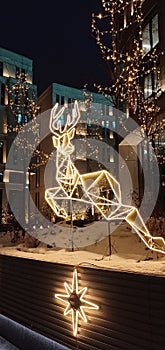 Christmas and New year decorations deer beautiful night lighting street view