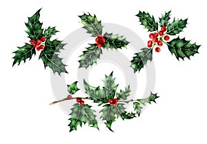 Christmas and New Year decorative elements symbol. Holly berries set.