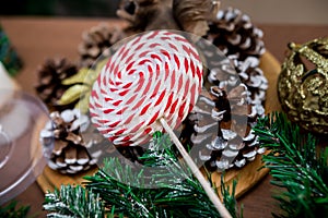 Christmas and New Year details in a photo studio. Lollipop on a branch of a Christmas tree (2).