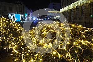 Christmas New Year glowing golden garland hang over bush. Outdoor winter decoration. Festive design of city square