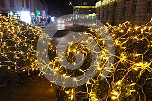 Christmas New Year glowing golden garland hang over bush. Outdoor winter decoration. Festive design of city square