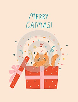 Christmas and New Year greeting holiday card with cat sitting in gift box