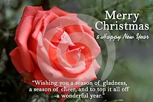 Christmas and New Year with message - Wishing you a season of gladness, a season of cheer and to top it all off a wonderful year.