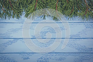 Christmas or New Year mock up: pine branches on the one side of blue boards