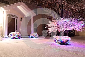 Christmas and New Year outdoor decoration background