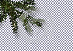 Christmas, New Year. Realistic green tree branch and its shadow. Against the background of the checkered. illustration