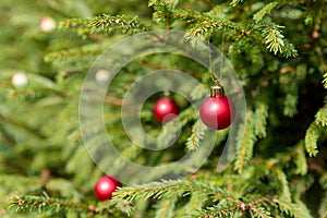 Christmas and New Year red Decoration. Holiday Background. Blinking Garland. Christmas Tree Lights Twinkling. Glowing