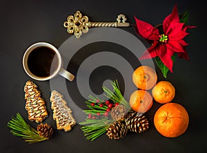 Christmas New year still life flat lay with a Christmas star, tangerines, orange, pine cones, ilex berries, cookies, pine branches