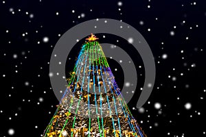 Christmas and New Year tree decorated with colorful  lights at night during the snowfall_