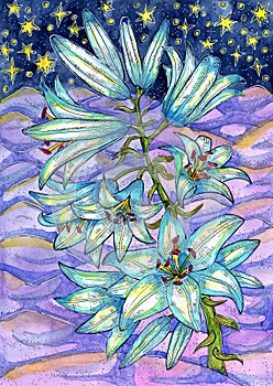 Christmas and New Year watercolor illustration with beautiful lily flower against winter hills and starry night sky. Seasonal