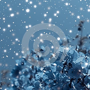 Christmas, New Years blue floral nature background, holiday card design, flower tree and snow glitter as winter season sale
