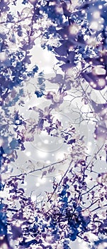 Christmas, New Years purple floral nature background, holiday card design, flower tree and snow glitter as winter season sale