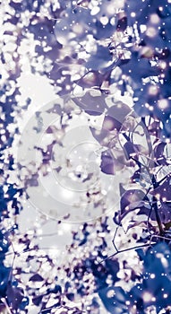 Christmas, New Years purple floral nature background, holiday card design, flower tree and snow glitter as winter season sale