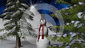 Christmas Night Star with a Snowman and fir trees