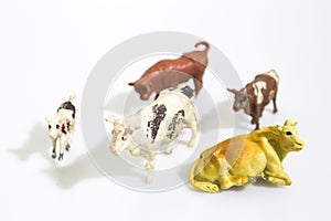 Christmas objects, plastic animals cow for nativity diorama isolated in a white background photo