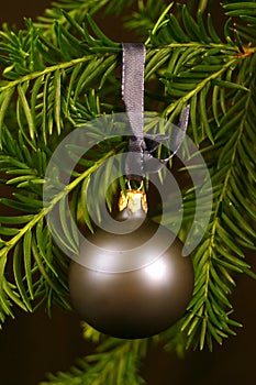 Christmas Ornament