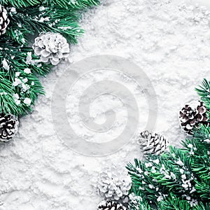 Christmas ornament with pine branch on snow background