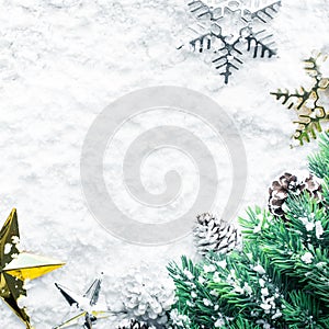Christmas ornament with pine branch on snow background