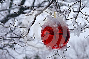 Christmas Ornament in Snow Coated Tree