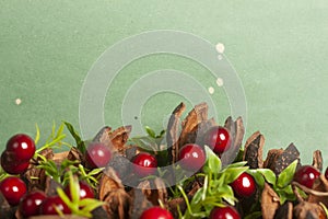 christmas ornaments om a red and green background