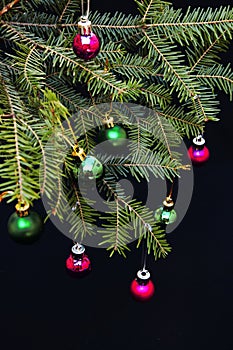 Christmas ornaments and pine branches on black background. Purple and green christmas balls on green spruce branch.Christmas balls