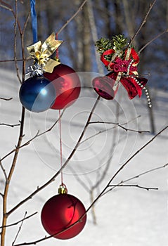 Christmas ornaments in tree
