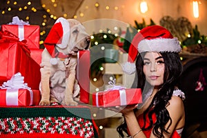 Christmas party time. happy new year. dog year. merry christmas. perfect xmas present. best gift ever. sexy woman in