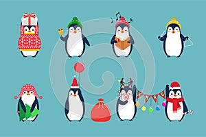 Christmas penguin characters. Penguins cartoon