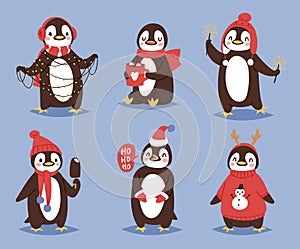 Christmas penguin vector character cartoon cute bird celebrate Xmas playfull happy penguin face smile illustration in