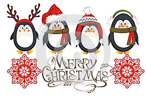 Christmas penguins card