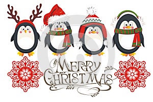 Christmas penguins card photo