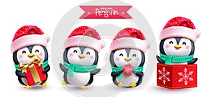 Christmas penguins characters set vector design. Penguins christmas character
