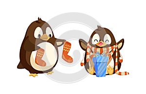 Christmas Penguins with Socks and Present Vector