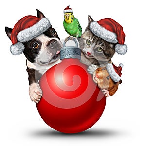 Christmas Pets Decoration