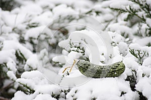 Christmas Pickle Christmas Ornament in the snow.