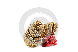 Christmas pine cones isolated on white background