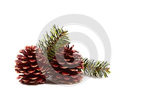 Christmas pine cones, pine leaves