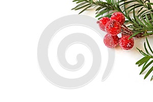 Christmas pine tree with decoration with red berries on a white wooden background. Christmas greeting card. Text space.