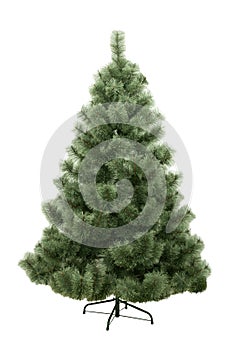 Christmas pine-tree, isolated