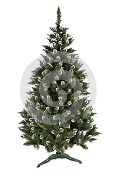 Christmas pine tree isolated on white background