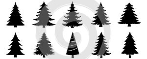 Christmas or Pine tree silhouette set collection vector illustration