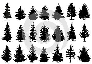 Christmas pine trees silhouettes. Coniferous forest monochrome woods, vintage fir trees silhouettes vector isolated