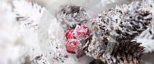 Christmas pinecones and holly berry