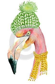 Christmas pink flamingo with winter decorations yellow hat and red scarf